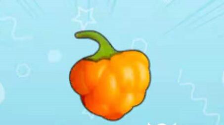 摩尔庄园橙色浆果菜谱