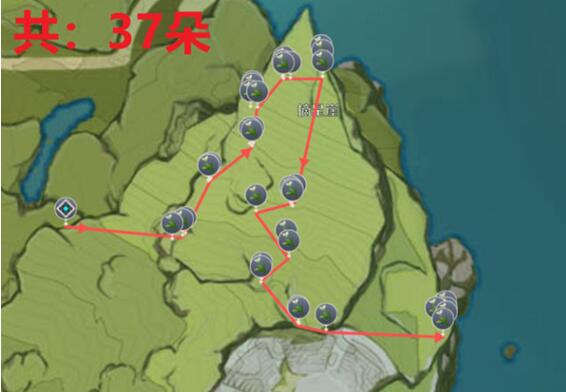 原神塞西莉亚花采集路线