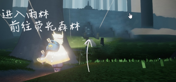 光遇雨林挂机点