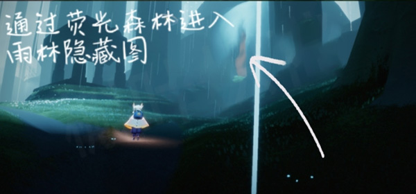 光遇雨林挂机点