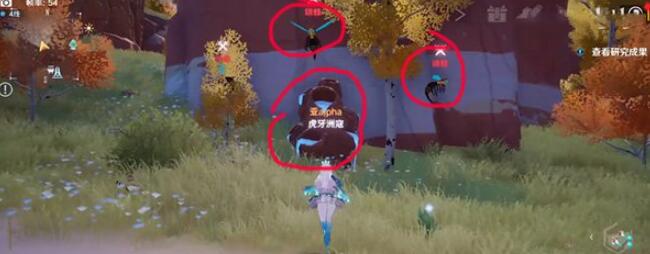幻塔蜂蜜怎么获得