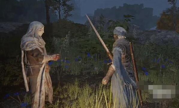 艾尔登法环鲜血君王的欢愉-艾尔登法环鲜血君王支线