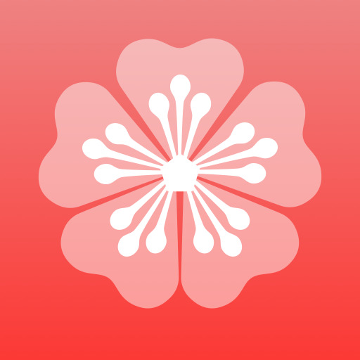 梅花天气app 梅花天气app