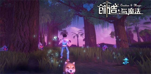 创造与魔法陆行鸟位置介绍 创造与魔法陆行鸟位置介绍