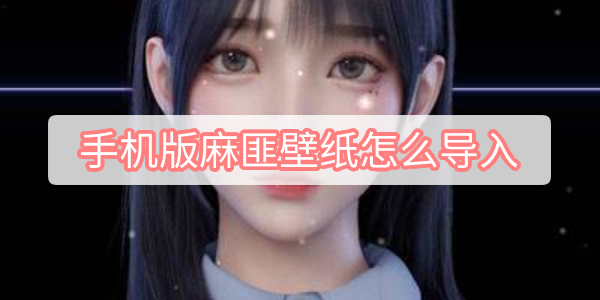 手机版麻匪壁纸怎么导入 手机版麻匪壁纸怎么导入